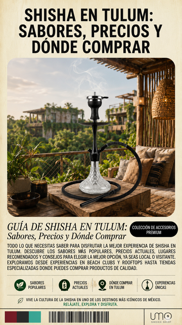 Shisha en Tulum: Sabores, Precios y Dónde Comprar