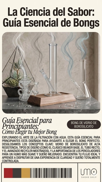 Cómo Elegir el Mejor Bong: Guía Para Principiantes
