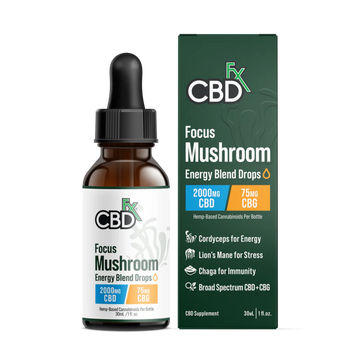 Cbd Fx Focus Mushroom | Tulum | México | UMO Smoke Shop