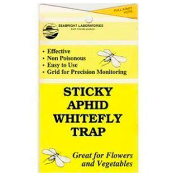 APHID WHITEFLY STICKY TRAP 5/pk